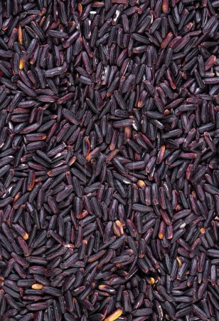 Foto de Arroz negro glutinoso (arroz negro pegajoso, arroz negro)
) - Imagen libre de derechos