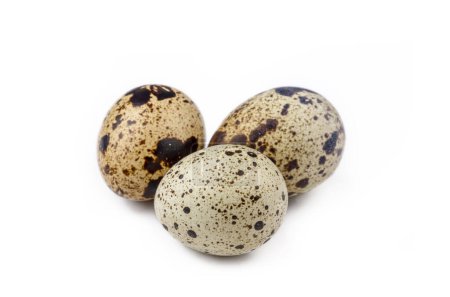 Photo for Quail eggs isolated on a white background - Royalty Free Image