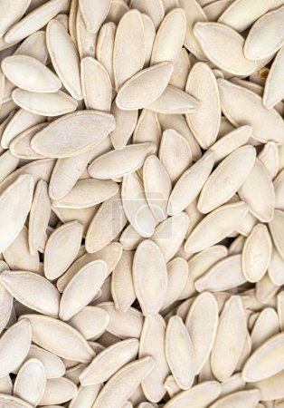 Foto de Semillas de calabaza sobre el fondo blanco. (Nombre turco; kabak cekirdegi) Las semillas de calabaza tienen un valor nutricional muy alto - Imagen libre de derechos
