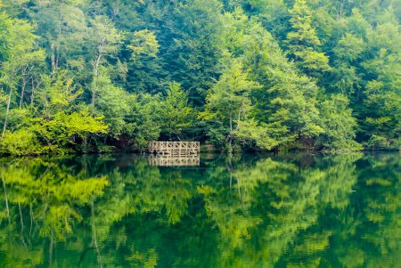 Photo for Lake hidden in the forest. Turkey Bolu Yedigoller. Outdoors lake view - Royalty Free Image