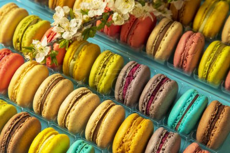 Photo for Close-up of macarons cakes of different colors in blue background. Culinary and cooking concept. Tasty colourful macaroons. - Royalty Free Image