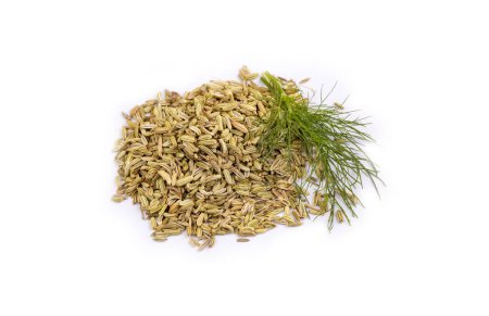 Photo for Dried herb, fennel seeds isolated, top view - Royalty Free Image