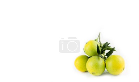 Téléchargez les photos : Orange bio fraîche verte sur fond blanc - en image libre de droit