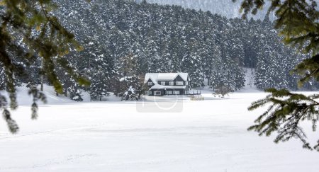 Téléchargez les photos : Golcuk / Bolu / Turquie, hiver neige paysage - en image libre de droit