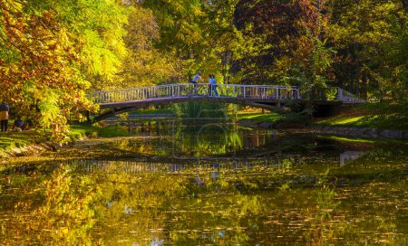 Téléchargez les photos : Macédoine - Skopje, 29 octobre 2023, Parc municipal de Skopje avec des feuilles jaunies sur les arbres en automne - en image libre de droit