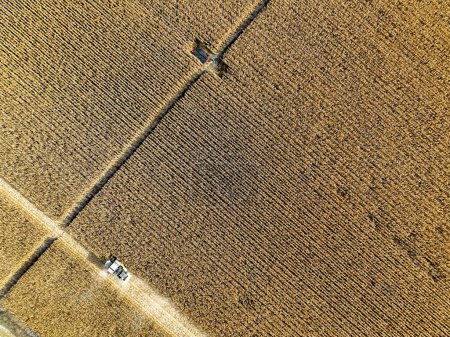 Téléchargez les photos : Konya - Turquie, 12 novembre 2022, Vue aérienne avec drone de séquences de récolte de maïs dans le champ de maïs. - en image libre de droit