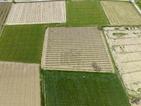 Photo for Aerial drone view of fertile farmlands, fields. Izmir - Turkey - Royalty Free Image