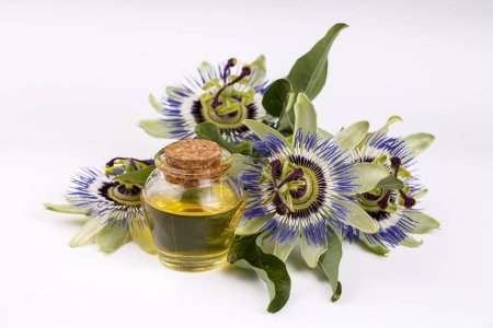 Téléchargez les photos : Passiflora incarnata plante et huile essentielle Passiflora, huile relaxante sur fond blanc - en image libre de droit