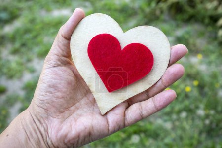Téléchargez les photos : Figure de coeur dans les mains humaines - en image libre de droit