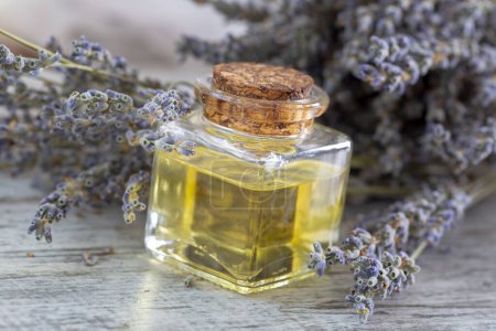 Photo for Essential lavender flower oil and dried lavender flowers. - Royalty Free Image