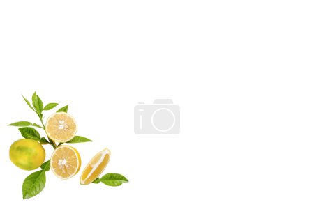 Foto de Patrón de frutas de rodajas de limón aisladas sobre un fondo blanco. Vista superior. - Imagen libre de derechos