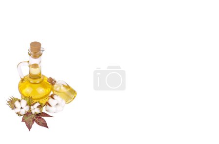 Photo for Cotton plant ball and cotton oil - Royalty Free Image