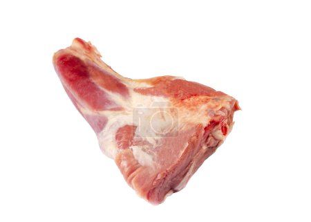 Photo for Raw lamb shanks meat, Raw lamb leg (Turkish name; kuzu incik) - Royalty Free Image