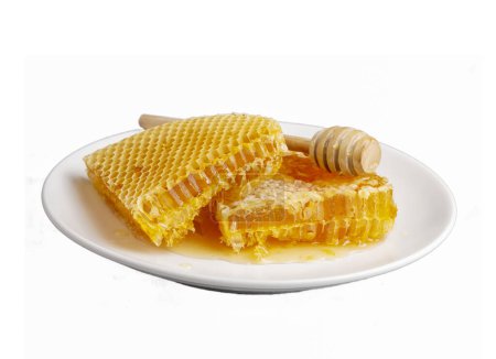 Photo for Sweet honeycomb isolated on white bee products with organic natural ingredients concept - Royalty Free Image