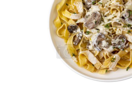 Homemade Italian fettuccine pasta (Fettuccine al Funghi Porcini) with mushroom and cream sauce. Traditional Italian cuisine.