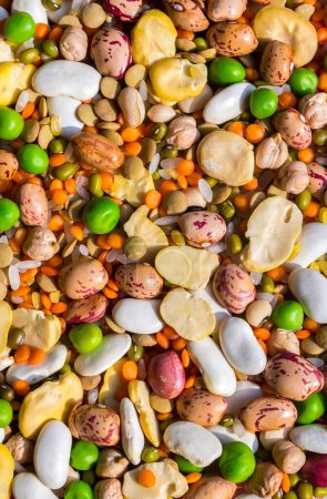 Photo for The Dried foods; mixed raw legumes, background - Royalty Free Image