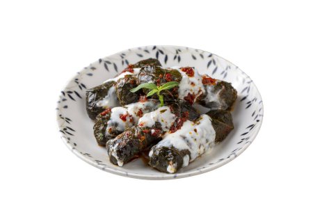 Verduras rellenas de berza con hojas hervidas, comida tradicional turca de la región del mar negro, sarma, dolma (nombre turco; Kara lahana sarmasi)
