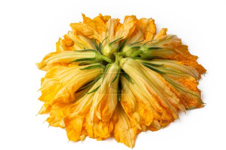 Téléchargez les photos : Fleur de courgette isolée sur fond blanc
. - en image libre de droit