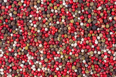 Photo for Pepper mix. Heap of black, red, white and allspice peppercorns isolated on white background, close up - Royalty Free Image