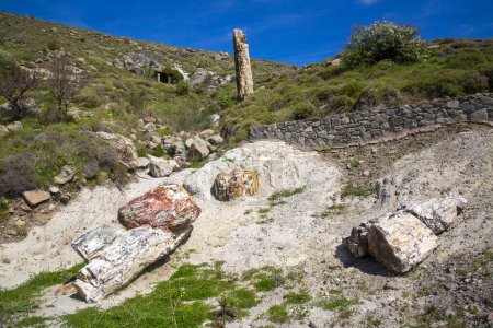 Téléchargez les photos : Un tronc d'arbre fossilisé du Géoparc UNESCO "Forêt pétrifiée de Sigri" sur l'île de Lesbos en Grèce. Mytilène - Grèce Lesbos forêt fossile - en image libre de droit