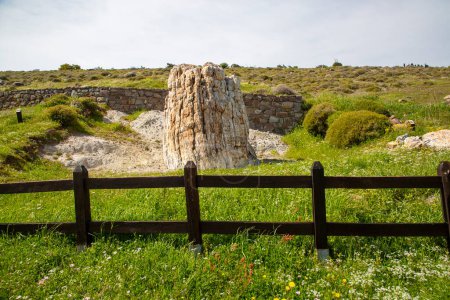 Ein versteinerter Baumstamm aus dem UNESCO-Geopark "Versteinerter Wald von Sigri" auf der griechischen Insel Lesbos. Mytilene - Griechenland Lesbos fossiler Wald