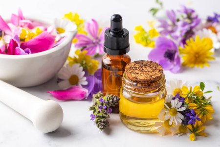 Photo for Concept of alternative herbal medicine. Bottles of tincture or potion, organic essential oils, dry healthy herbs, floral extracts on wooden table. Pure natural ingredients for cosmetic production - Royalty Free Image