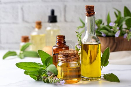 Foto de Salvia Officinales aceite esencial, aceite de salvia y hojas de salvia frescas dispuestas en patrón - Imagen libre de derechos
