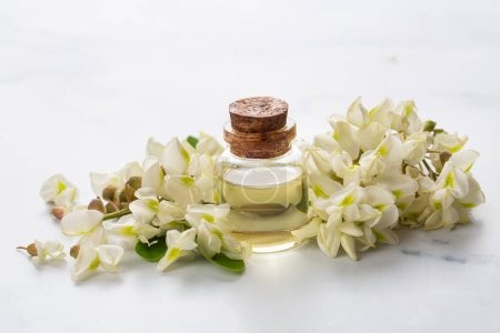 Foto de Robinia (falsa acacia) aceite esencial (remedio, extracto) botella con flores frescas de acacia - Imagen libre de derechos