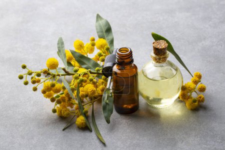 Foto de Aceite esencial de Mimosa en una botella de vidrio. Cosmética natural, aromaterapia y concepto de spa - Imagen libre de derechos