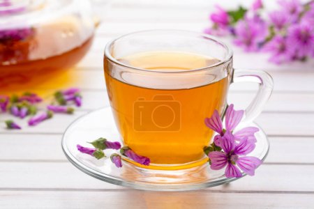 Photo for Mallow herb (Malva Vulgaris) mallow flower tea in cup. - Royalty Free Image