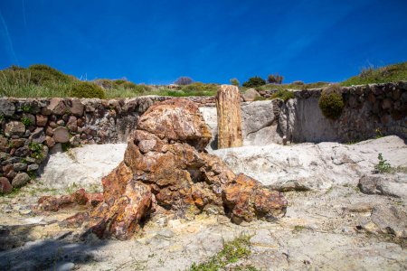 Ein versteinerter Baumstamm aus dem UNESCO-Geopark "Versteinerter Wald von Sigri" auf der griechischen Insel Lesbos. Mytilene - Griechenland Lesbos fossiler Wald