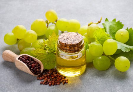 Téléchargez les photos : Huile de pépins de raisin en petite bouteille et bouquet de raisins ensemble. - en image libre de droit