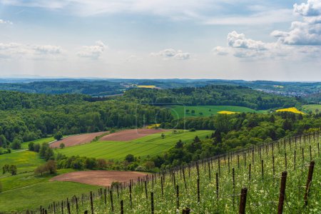 Téléchargez les photos : Le paysage Kraichgau, la Toscane de l'Allemagne, vue sur Eichelberg, Oestringen en mai - en image libre de droit