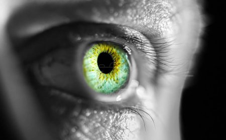 Foto de Detalle de un ojo humano sorprendido, iris visible, hombre, colores, flash - Imagen libre de derechos