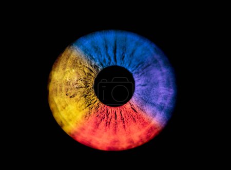 Foto de Ojo de iris azul, amarillo, rojo y violeta. Pupila colorida en macro sobre fondo negro - Imagen libre de derechos