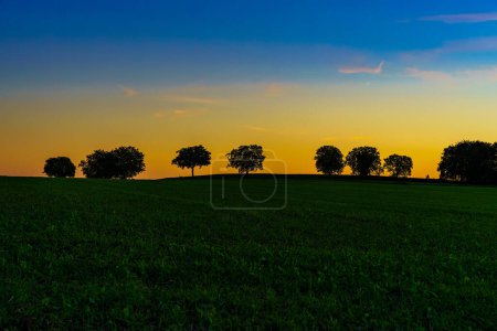 Foto de Crepúsculo en el valle del Rin, con árboles, prados y campos. humor de la noche de verano con cielo de color. - Imagen libre de derechos