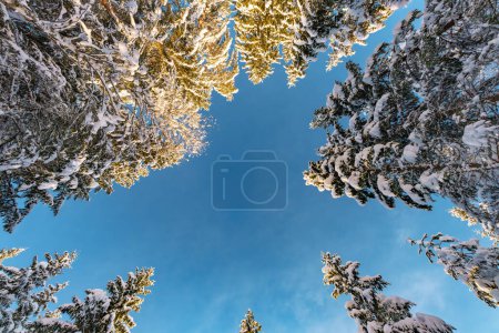 schönes schneebedecktes Winterlandschaftspanorama mit Wald und Sonne. Wintersonnenuntergang im Waldpanorama. Sonne scheint durch schneebedeckte Bäume