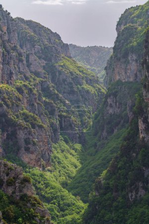 Vikos-Schlucht im Pindus-Gebirge, Griechenland