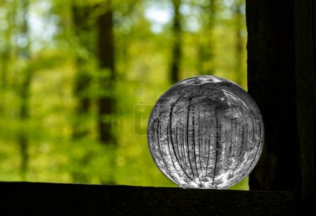 Foto de Una bola de vidrio circular descansa sobre un alféizar de ventana de madera, enmarcado por árboles y paisaje natural. Tintes de verde de hierba y ramitas de plantas complementan la escena serena - Imagen libre de derechos