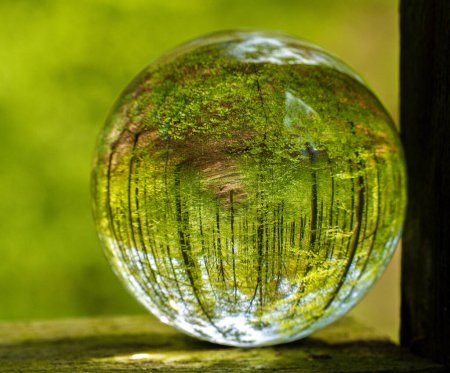 Foto de Una bola de vidrio llena de líquido refleja una imagen de árboles, hierba y un patio, creando una hermosa obra de arte con tintes y sombras - Imagen libre de derechos