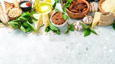Téléchargez les photos : Préparation de sauce traditionnelle au pesto italien avec des tomates séchées. Ingrédients : basilic, parmesan, pignons de pin, tomates, épices. Sur un fond concret. - en image libre de droit