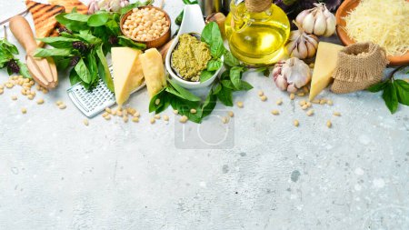 Foto de Preparación de salsa de pesto. Ingredientes: Albahaca, piñones, parmesano y aceite de oliva. Sobre un fondo gris de hormigón. - Imagen libre de derechos
