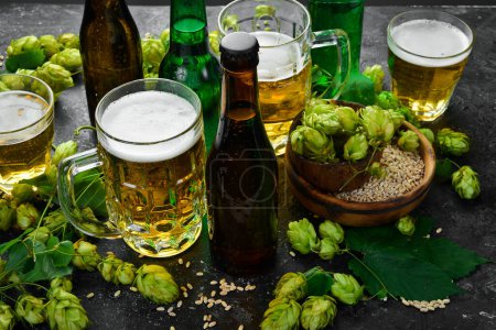Photo for Fresh beer in glasses and fresh green hops on a black stone background. Banner. - Royalty Free Image