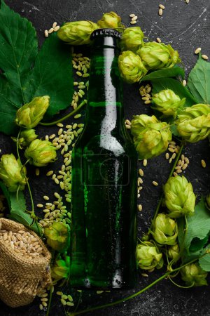 Foto de Lúpulo fresco, vasos y cerveza. Cerveza ligera en botellas de vidrio sobre un fondo de piedra negra. Banner de cerveza. - Imagen libre de derechos