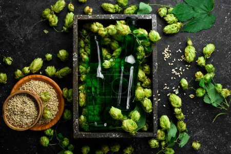 Photo for Fresh hop, glasses and beer. Light beer in glass bottles on a black stone background. Beer banner. - Royalty Free Image