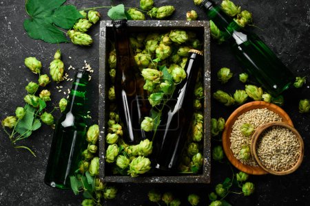 Photo for Fresh hop, glasses and beer. Dark beer in glass bottles on a black stone background. Beer banner. - Royalty Free Image