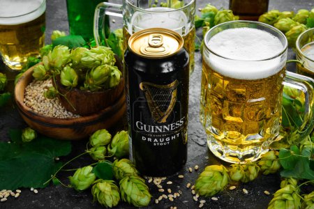 Photo for UKRAINE, LVIV - SEPTEMBER 12, 2022: Beer Guinness, Ireland beer and fresh hops and beer glasses. Beer banner. - Royalty Free Image