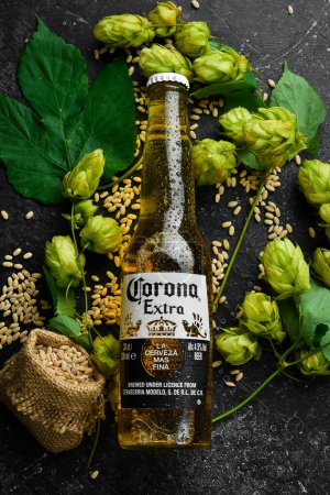 Foto de UCRANIA, LVIV - SEP 12, 2022: Cerveza Corona en botella de vidrio, lúpulo fresco y vasos de cerveza. Banner publicitario. - Imagen libre de derechos