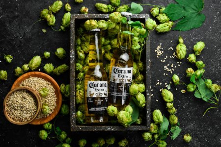 Photo for UKRAINE, LVIV - SEP 12, 2022: Corona beer in a glass bottle, fresh hop and beer glasses. Advertising banner. - Royalty Free Image