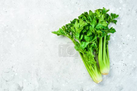 Photo for Celery. Fresh stalk of celery on a stone background. Healthy food. Top view. Free space for text. - Royalty Free Image